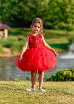 Red Lace Tulle Short Flower Girl Dress With Heart Cutout